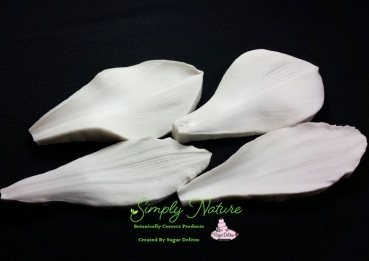 Amaryllis Petal Veiner Set By Simply Nature Botanically Correct Products®